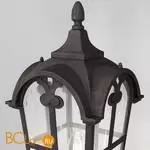 Уличный настенный светильник Maytoni Albion O413WL-01BZ1 - Фото 1